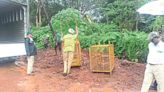 Udupi: Leopard sightings alarm Manipal; Forest dept increases patrolling