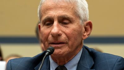 Fauci blames Trump admin staff for feeding him misinformation, animosity