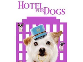 Hotel para perros