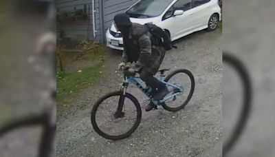 Vancouver police release photo of suspect in alleged child luring case