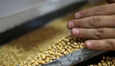 Cosecha de soja finaliza en Argentina con producción más alta en cinco años