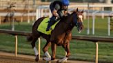 Preakness gets 3 horses confirmed, but Mystik Dan uncertain