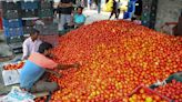 As Heavy Rains Hit Supply, Tomato Prices Surge In Many Parts Of India