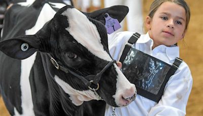 Richmond's Black and White Days is the nation's longest-running dairy cow show