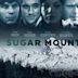 Sugar Mountain (film)