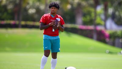 Examining the Dolphins' Top Priorities Before the Start of Training Camp