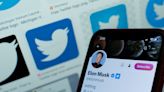 Twitter users have found a loophole to get their legacy verified blue ticks back just by writing a few key words in their bios