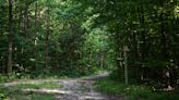 Belarusian authorities ban walking in forests on border with Ukraine