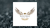 Kestrel Gold (CVE:KGC) Shares Cross Above Fifty Day Moving Average of $0.03