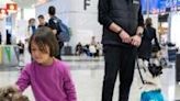 Turkey therapy dogs join Istanbul Airport staff