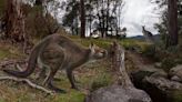 Two-Year Dig Yields Stunning Kangaroo Fossil From Deep Underground Caves