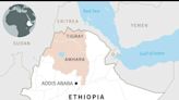 Ethiopia plagued by abductions 'epidemic'