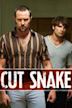 Cut Snake