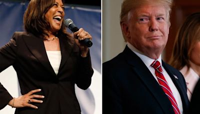 Donald Trump scores 64-29 against Kamala Harris after Joe Biden's endorsement: Poll