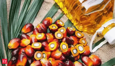 Malaysia to increase cooperation in palm oil and other sectors