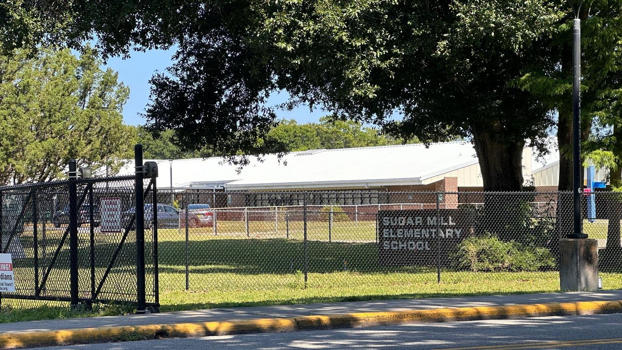 Sugar Mill Elementary student dies after being hit by SUV at school crosswalk: police
