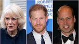 The Bee, the Fly and the Wasp: All of the codenames and nicknames used by Prince Harry in Spare