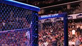 UFC Releases Anti-Doping Statement After Cancelled UFC 303 Fight