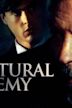 Natural Enemy (film)