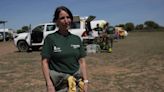 Technologische Fortschritte bei der Waldbrandbekämpfung