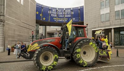 Arrancan las elecciones europeas: de la amenaza rusa al ascenso de la ultraderecha, cinco claves para seguirlas