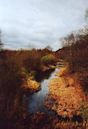 Barnsley Canal