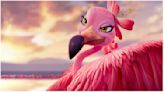 Animated Adventure Comedy ‘Flamingo Flamenco’ to Be Launched by Studio 100 Film at European Film Market (EXCLUSIVE)