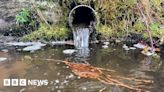 Welsh Water sees pollution incidents spike despite £483m spend