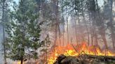 Oregon’s total active wildfires now greater than size of Rhode Island