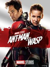 Ant-Man et la Guêpe