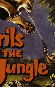 Perils of the Jungle (1953 film)