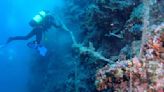 Croatian Divers Clear Adriatic Sea of Fish-Trapping Nets