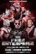 ROH Free Enterprise