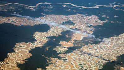 La sed de oro en el mundo consume la Amazonía peruana