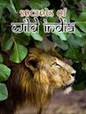 Secrets of Wild India