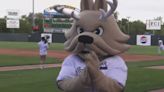 Jackalopes’ pitching struggles continue in blowout loss to Raptors