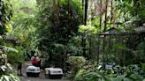 Fast 300 Tiere nach Aus für letzte staatliche Zoos in Costa Rica in Wildtierzentrum verlegt