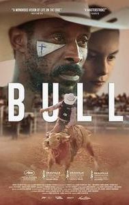 Bull (2019 film)