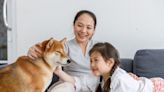Up 130% Already This Year, Can Shiba Inu's Price Go Even Higher? | The Motley Fool