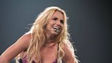 Britney Spears Shows Off Fancy Bikini She Bought for Her Tiny Dog (PHOTO)