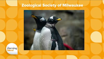 Get Ready To Enjoy Milwaukee's Zoo