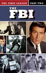 The F.B.I. (TV series)