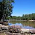 Bastrop State Park