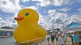 World's Largest Rubber Duck returning to Tall Ships Erie for 2022 festival