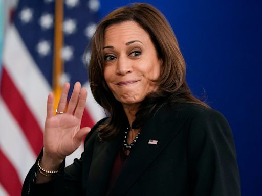 These Michigan Democrats have already endorsed VP Kamala Harris to replace Biden