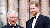 Prince Harry Returning to U.K. 3 Months After Visiting King Charles