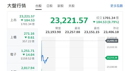 輝達痛失市值王 台股早盤跳空開低 力守23000點