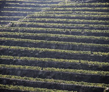 O Douro é como uma senhora distinta que se deixou levar por maus caminhos