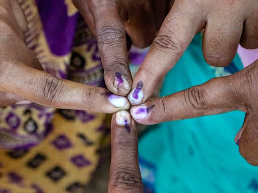 Atul Kulkarni writes: Why a loyal voter is bad for democracy