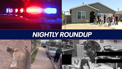 Dog dragged by animal control; video shows alleged preschool kids abuse | Nightly Roundup